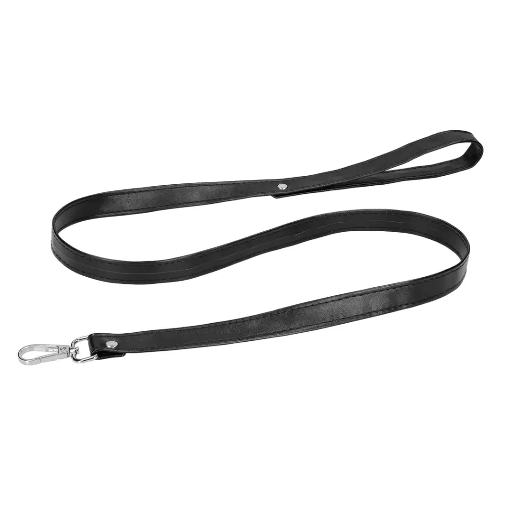 Leash - Black