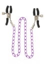 Nipple clamps with chain